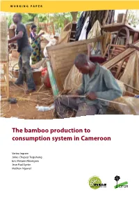 The Bamboo Production to Consumption System in Cameroon