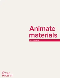 PERSPECTIVE – Animate Materials 3 4 PERSPECTIVE – Animate Materials Contents