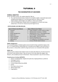 Tutorial 9 the Abdomen.Pdf