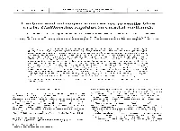 Carbon and Nitrogen Sources for Juvenile Blue Crabs Callinectes Sapidus in Coastal Wetlands
