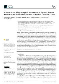 Downloaded from Genbank (Table1) Were Aligned with the Online Version of MAFFT V