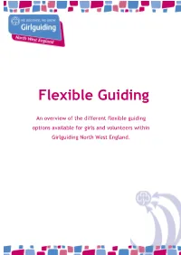 Flexible Guiding
