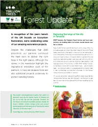 Forest Update 1