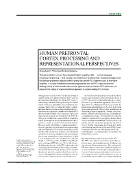 Human Prefrontal Cortex: Processing and Representational Perspectives