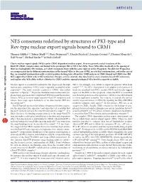 NES Consensus Redefined by Structures of PKI-Type and Rev-Type Nuclear Export Signals Bound to CRM1