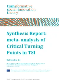 Synthesis Report: Meta- Analysis of Critical Turning Points in TSI
