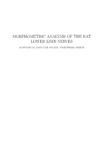 Thesis Prodanov