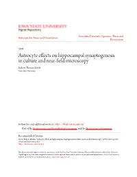 Astrocyte Effects on Hippocampal Synaptogenesis in Culture and Near-Field Microscopy Robert Thomas Doyle Iowa State University