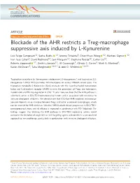 Blockade of the AHR Restricts a Treg-Macrophage Suppressive Axis Induced by L-Kynurenine