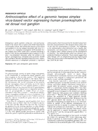 Antinociceptive Effect of a Genomic Herpes Simplex Virus-Based Vector Expressing Human Proenkephalin in Rat Dorsal Root Ganglion