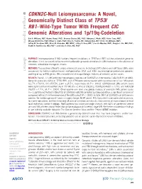 CDKN2C-Null Leiomyosarcoma: a Novel