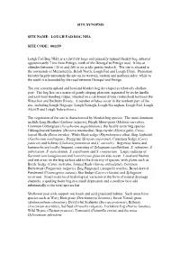 Site Synopsis