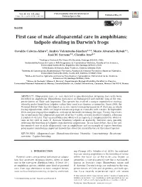 Full Text in Pdf Format
