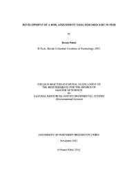 Development of a Risk Assessment Tool for Mercury in Fish
