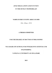 Nus a Thesis Submitted