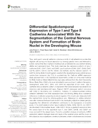 Differential Spatiotemporal Expression of Type I and Type II Cadherins