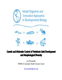 Genetic and Molecular Control of Vertebrate Limb Development and Morphological Diversity