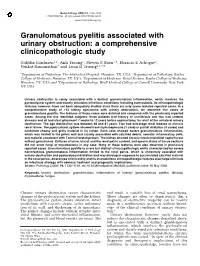 Granulomatous Pyelitis Associated with Urinary Obstruction: a Comprehensive Clinicopathologic Study