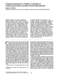 Adaptin, a Component of Clathrin-Coated Vesicles Associated with the Golgi Apparatus