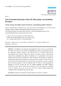Non-Neuronal Functions of the M2 Muscarinic Acetylcholine Receptor