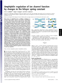 Amphiphile Regulation of Ion Channel Function by Changes in the Bilayer Spring Constant