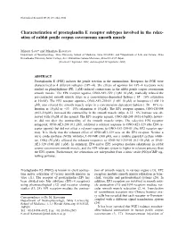 Characterization of Prostaglandin E Receptor Subtypes Involved in the Relax- Ation of Rabbit Penile Corpus Cavernosum Smooth Muscle