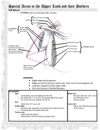 Special Areas in the Upper Limb and Their Borders the AXILLA O a PYRAMIDAL Space: Has a Flat Apex, 4 Walls, and a Base