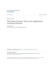 The Canine Genome: Discoveries, Applications, and Future Potential