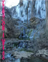 The Texas Caver, 1St Quarter 2010, Website Version, Compressed.Pub