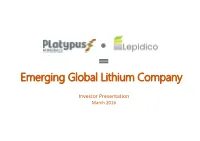 Emerging Global Lithium Company