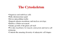 The Cytoskeleton