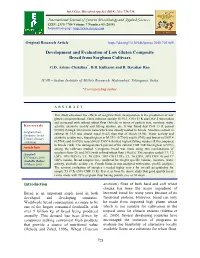 Development and Evaluation of Low Gluten Composite Bread from Sorghum Cultivars