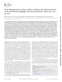 From Metagenomics to Pure Culture: Isolation and Characterization of the Moderately Halophilic Bacterium Spiribacter Salinus Gen