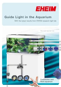Guide Light in the Aquarium with the Latest Results from EHEIM Research Light Lab