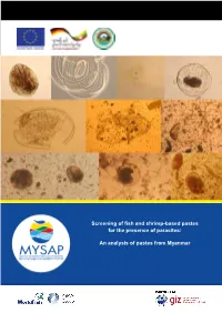 Screening of Fish and Shrimp-Based Pastes for the Presence of Parasites: an Analysis of Pastes from Myanmar