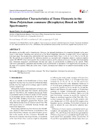 Accumulation Characteristics of Some Elements in the Moss Polytrichum Commune (Bryophytes) Based on XRF Spectrometry