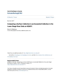 Comparing a Surface Collection to an Excavated Collection in the Lower Skagit River Delta at 45SK51