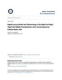 (Middle Pennsylvanian Lower Ismay Sequence), Paradox Basin, Utah