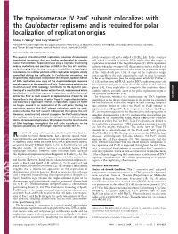 The Topoisomerase IV Parc Subunit Colocalizes with the Caulobacter Replisome and Is Required for Polar Localization of Replication Origins