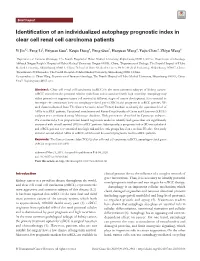 Identification of an Individualized Autophagy Prognostic Index in Clear Cell Renal Cell Carcinoma Patients