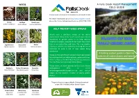 Plants of Falls Creek Region Guide