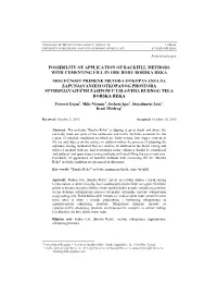 Possibility of Application of Backfill Methods with Cementing Fill in Ore Body Borska Reka