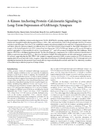 A-Kinase Anchoring Protein–Calcineurin Signaling in Long-Term Depression of Gabaergic Synapses