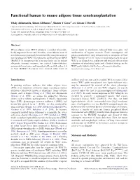 Functional Human to Mouse Adipose Tissue Xenotransplantation