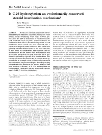 Is C-26 Hydroxylation an Evolutionarily Conserved Steroid Inactivation Mechanism?