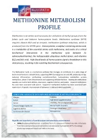 Methionine Metabolism Profile