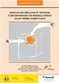 Modeling and Simulation of Two-Phase Flow Evaporators for Parabolic-Trough Solar Thermal Power Plants