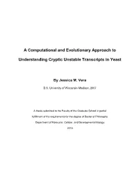 A Computational and Evolutionary Approach to Understanding Cryptic Unstable Transcripts in Yeast