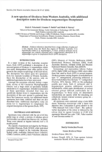 A New Species of Urodacus from Western Australia, with Additional Descriptive Notes for Urodacus Megamastigus (Scorpiones)
