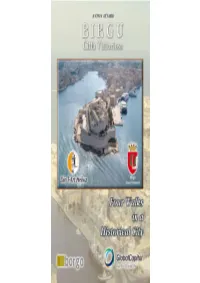Birgu Promontory Their Knowledge and Experience to Successive Generations of Workers